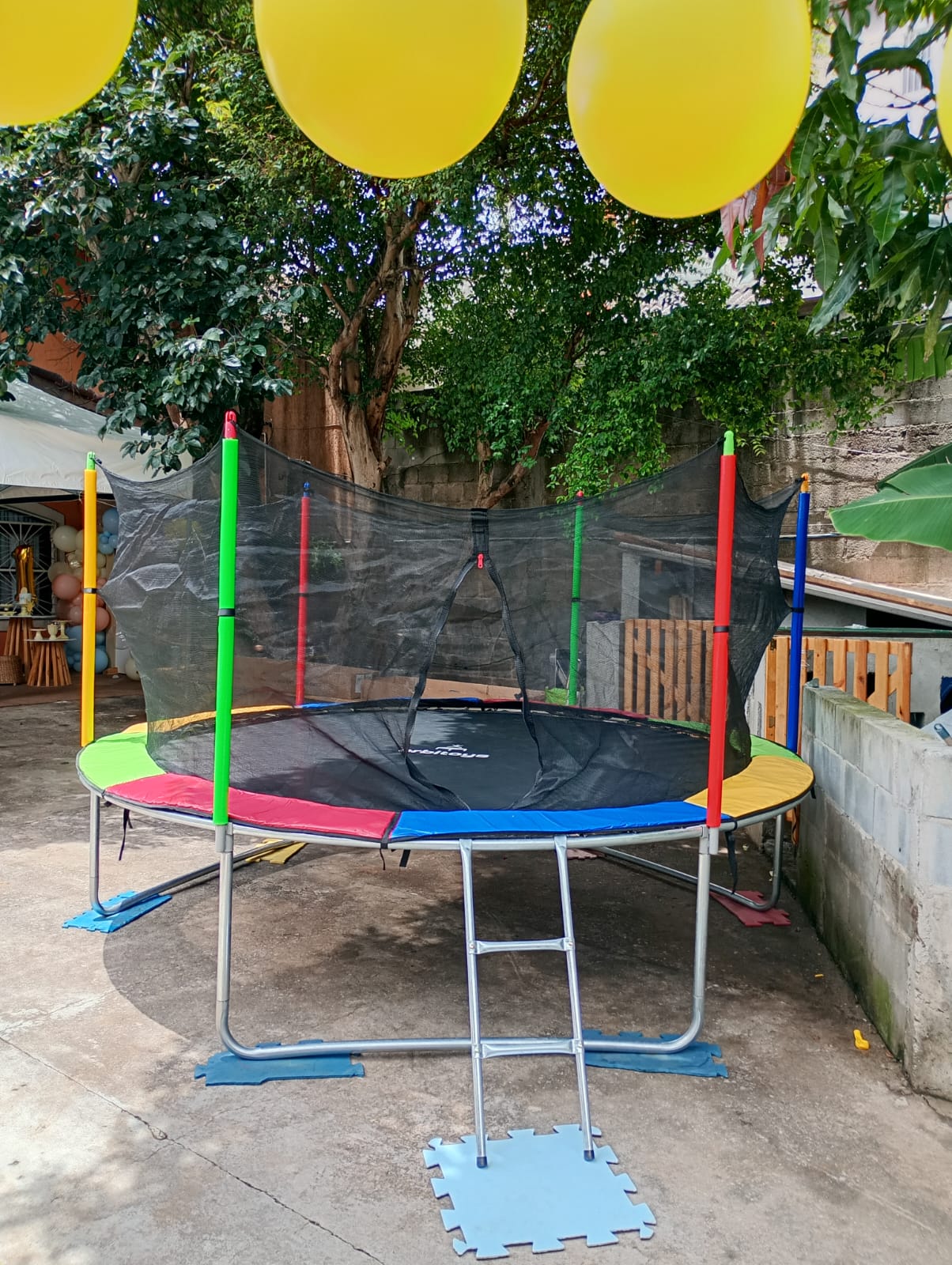 Diversão Infantil - Festas & Cia